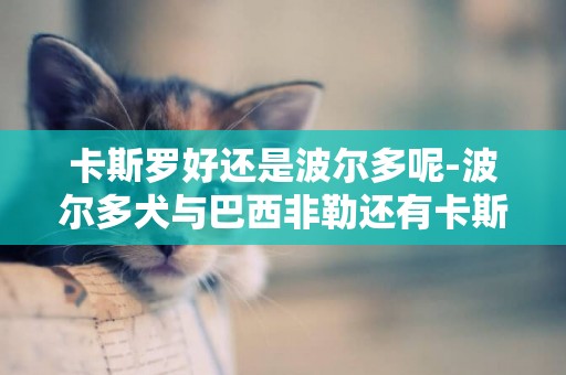 卡斯羅好還是波爾多呢-波爾多犬與巴西非勒還有卡斯羅哪只烈害好