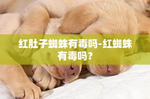 紅肚子蜘蛛有毒嗎-紅蜘蛛有毒嗎？