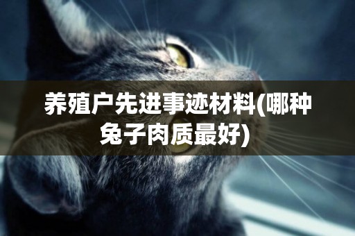 養殖戶先進事跡材料(哪種兔子肉質最好) 