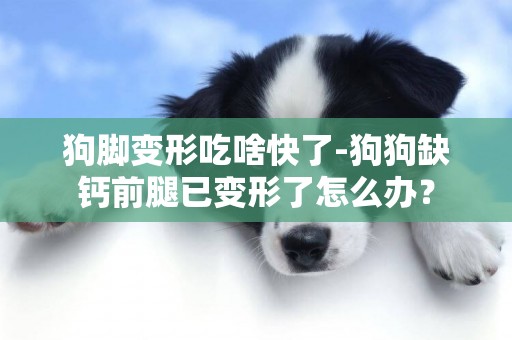 狗腳變形吃啥快了-狗狗缺鈣前腿已變形了怎么辦？