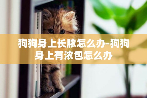 狗狗身上長膿怎么辦-狗狗身上有濃包怎么辦