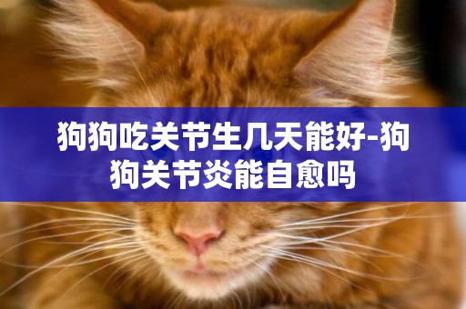 狗狗吃關節生幾天能好-狗狗關節炎能自愈嗎