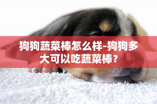 狗狗蔬菜棒怎么樣-狗狗多大可以吃蔬菜棒？