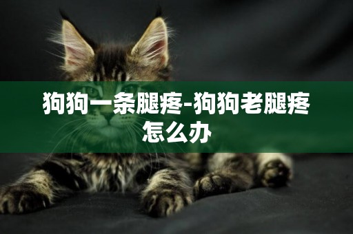 狗狗一條腿疼-狗狗老腿疼怎么辦
