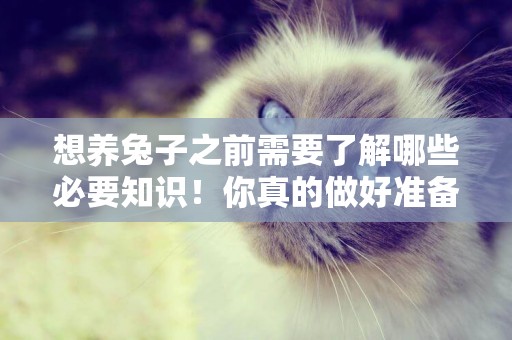 想養兔子之前需要了解哪些必要知識！你真的做好準備了嗎？ 