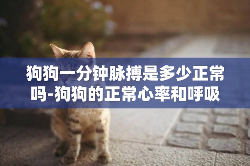 狗狗一分鐘脈搏是多少正常嗎-狗狗的正常心率和呼吸是多少
