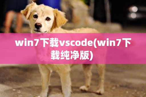 win7下載vscode(win7下載純凈版) 