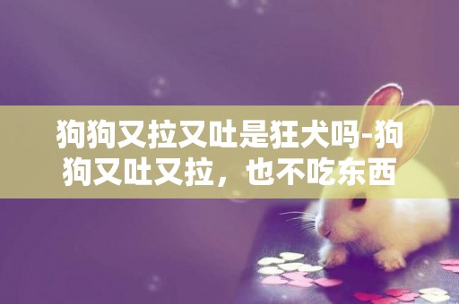狗狗又拉又吐是狂犬嗎-狗狗又吐又拉，也不吃東西