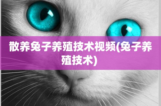 散養兔子養殖技術視頻(兔子養殖技術) 