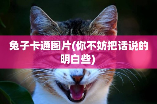 兔子卡通圖片(你不妨把話說的明白些) 