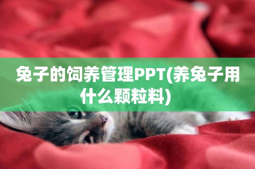兔子的飼養管理PPT(養兔子用什么顆粒料) 