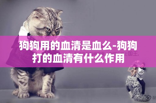 狗狗用的血清是血么-狗狗打的血清有什么作用