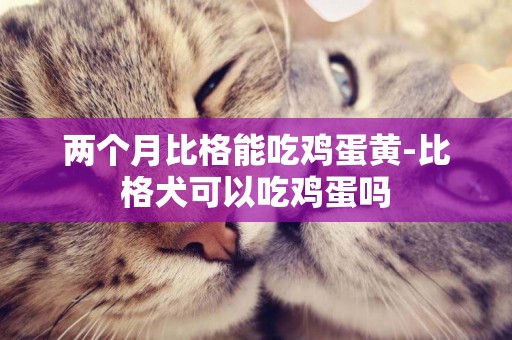 兩個月比格能吃雞蛋黃-比格犬可以吃雞蛋嗎