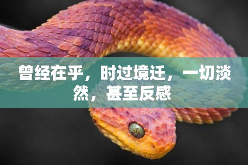曾經在乎，時過境遷，一切淡然，甚至反感 