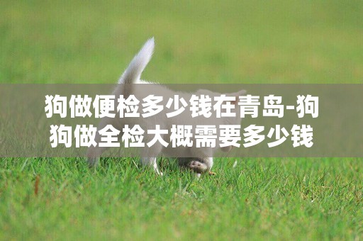狗做便檢多少錢在青島-狗狗做全檢大概需要多少錢