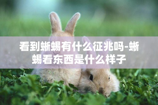 看到蜥蜴有什么征兆嗎-蜥蜴看東西是什么樣子