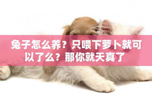 兔子怎么養？只喂下蘿卜就可以了么？那你就天真了 