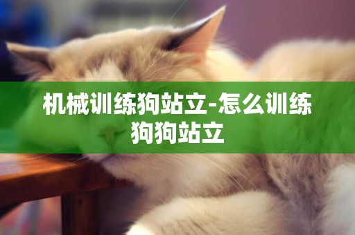機械訓練狗站立-怎么訓練狗狗站立