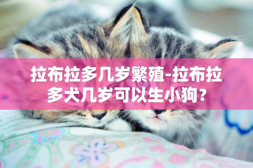 拉布拉多幾歲繁殖-拉布拉多犬幾歲可以生小狗？