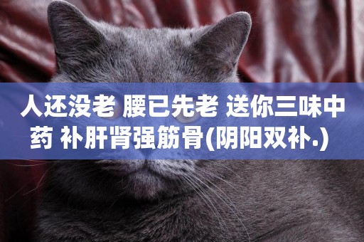 人還沒老 腰已先老 送你三味中藥 補肝腎強筋骨(陰陽雙補.) 