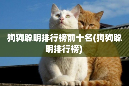 狗狗聰明排行榜前十名(狗狗聰明排行榜) 
