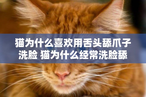 貓為什么喜歡用舌頭舔爪子洗臉 貓為什么經常洗臉舔爪子
