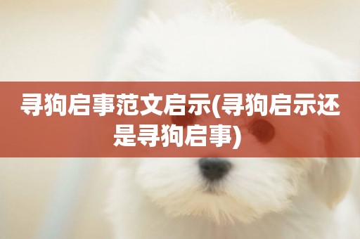 尋狗啟事范文啟示(尋狗啟示還是尋狗啟事) 