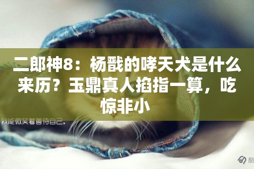 二郎神8：楊戩的哮天犬是什么來歷？玉鼎真人掐指一算，吃驚非小 