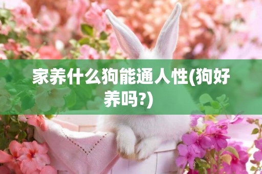 家養什么狗能通人性(狗好養嗎?) 