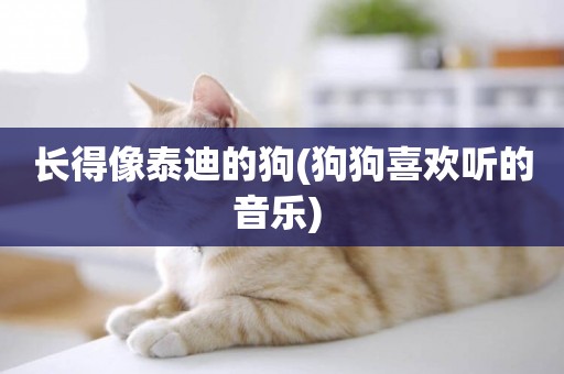 長得像泰迪的狗(狗狗喜歡聽的音樂) 