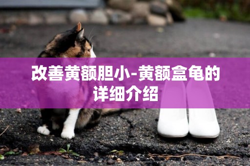 改善黃額膽小-黃額盒龜的詳細介紹