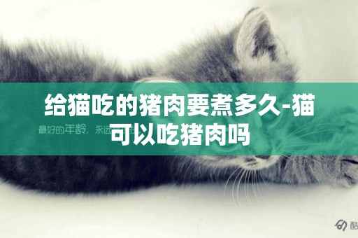 給貓吃的豬肉要煮多久-貓可以吃豬肉嗎