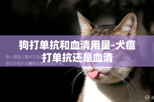 狗打單抗和血清用量-犬瘟打單抗還是血清