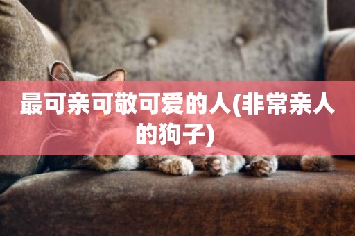 最可親可敬可愛的人(非常親人的狗子) 