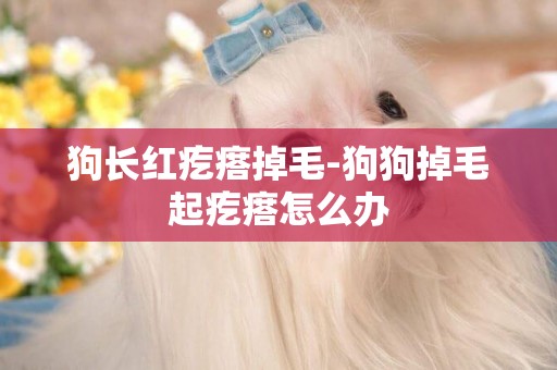 狗長紅疙瘩掉毛-狗狗掉毛起疙瘩怎么辦