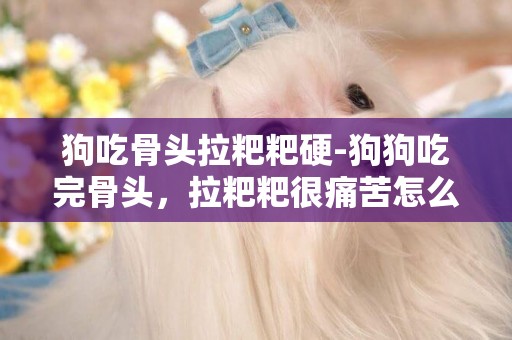 狗吃骨頭拉粑粑硬-狗狗吃完骨頭，拉粑粑很痛苦怎么辦