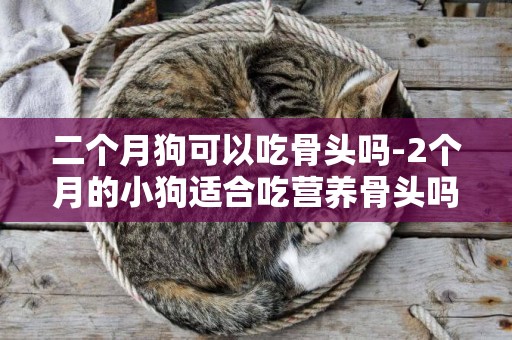 二個月狗可以吃骨頭嗎-2個月的小狗適合吃營養骨頭嗎？