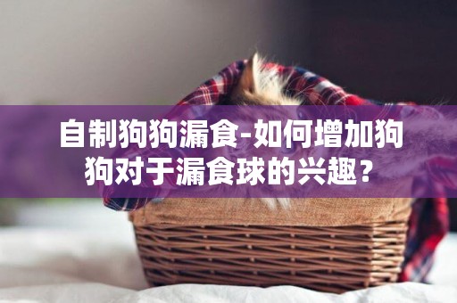 自制狗狗漏食-如何增加狗狗對于漏食球的興趣？
