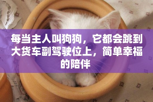 每當主人叫狗狗，它都會跳到大貨車副駕駛位上，簡單幸福的陪伴 