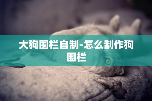 大狗圍欄自制-怎么制作狗圍欄