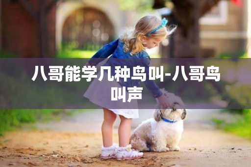 八哥能學幾種鳥叫-八哥鳥叫聲