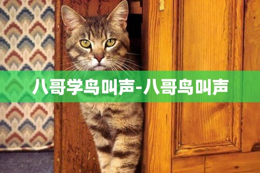 八哥學鳥叫聲-八哥鳥叫聲