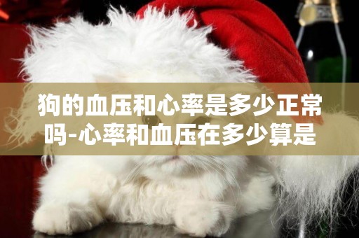 狗的血壓和心率是多少正常嗎-心率和血壓在多少算是正常的？
