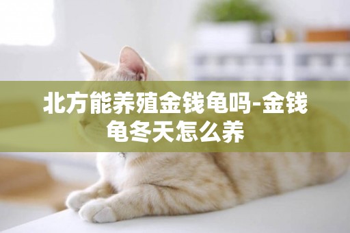北方能養殖金錢龜嗎-金錢龜冬天怎么養