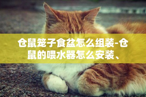 倉鼠籠子食盆怎么組裝-倉鼠的喂水器怎么安裝、