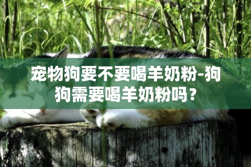寵物狗要不要喝羊奶粉-狗狗需要喝羊奶粉嗎？