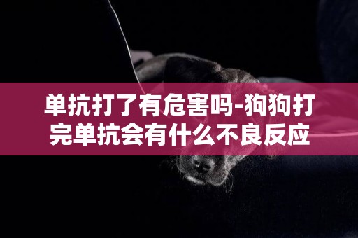 單抗打了有危害嗎-狗狗打完單抗會有什么不良反應