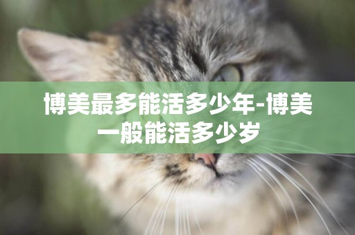 博美最多能活多少年-博美一般能活多少歲