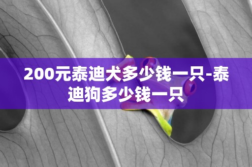 200元泰迪犬多少錢一只-泰迪狗多少錢一只