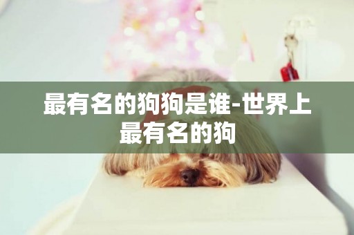 最有名的狗狗是誰-世界上最有名的狗